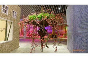 世園會(huì)，我們來(lái)啦！